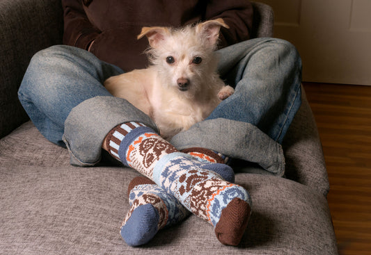 クルーソックス　ドッグ