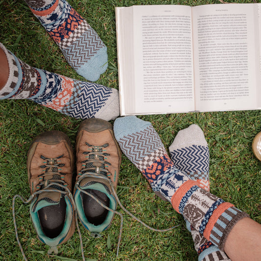 クルーソックス ペットレスキュー